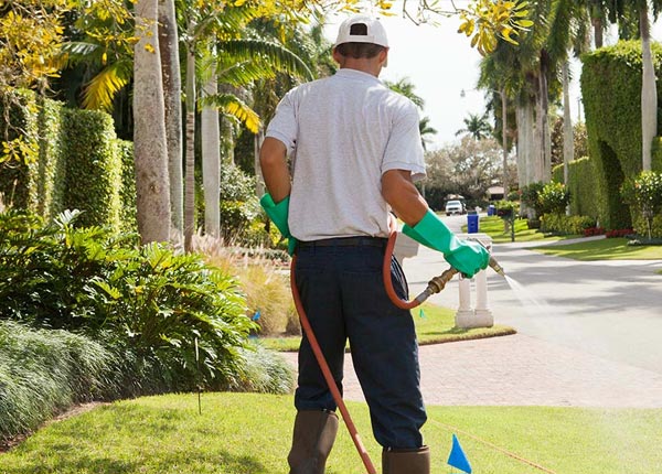 About Letona AR Pest Control Pros